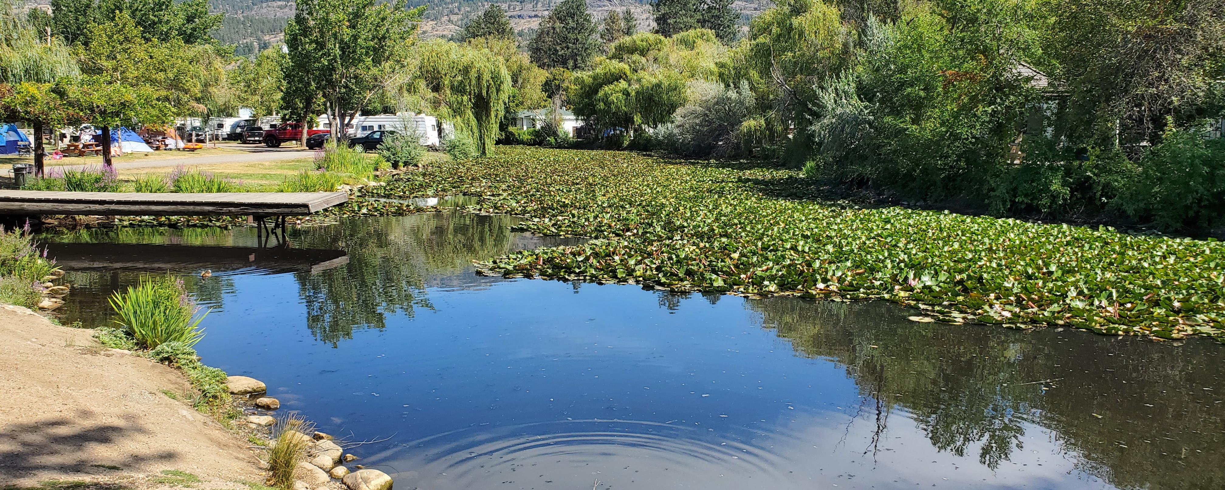 Oxbow Surrounding the RV Park